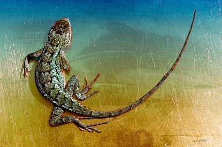 Space Lizard by artist Charlie Kreitler